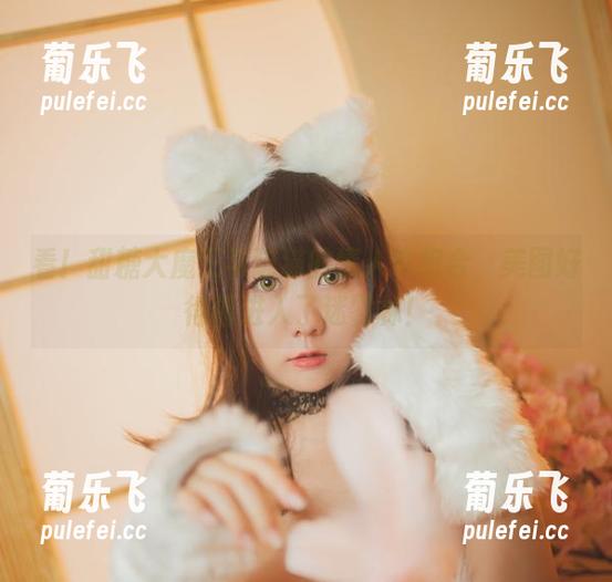 甜糖大魔王 看!甜糖大魔王与猫猫的情人节组合,美图好得像进入了迷雾林!